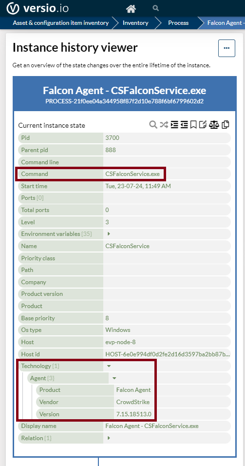 Automatically record CrowdStrike usage in the IT landscape